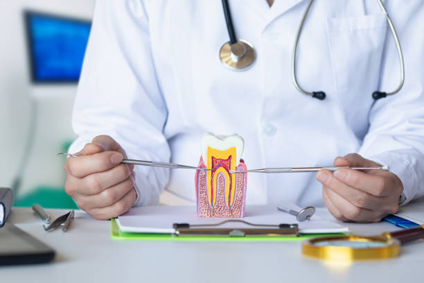Best Emergency Gum Treatment in West Falmouth, MA